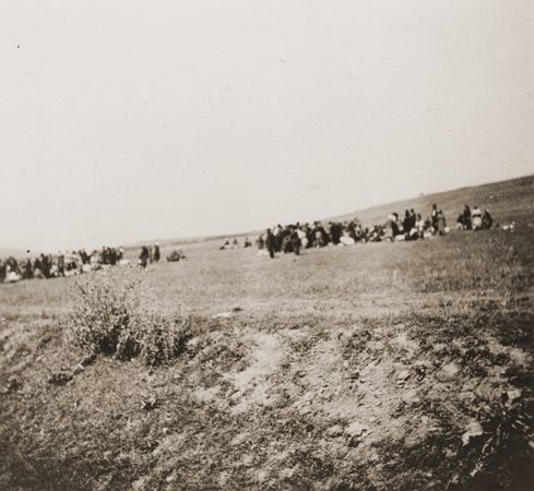 Jews being killed outside of Kamenets-Podolsk